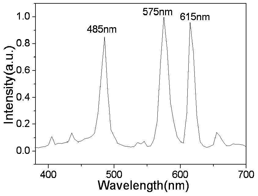 Single-substrate white-light fluorescent powder for white-light LEDs (light-emitting diodes) and preparation method thereof