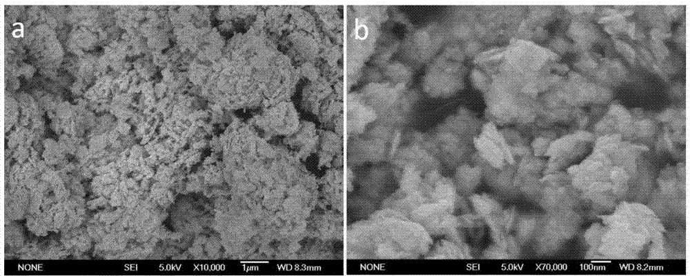 Single-layer bismuth tungstate nano-sheet composite photocatalyst modified by carbon quantum dots, preparation method of photocatalyst and application