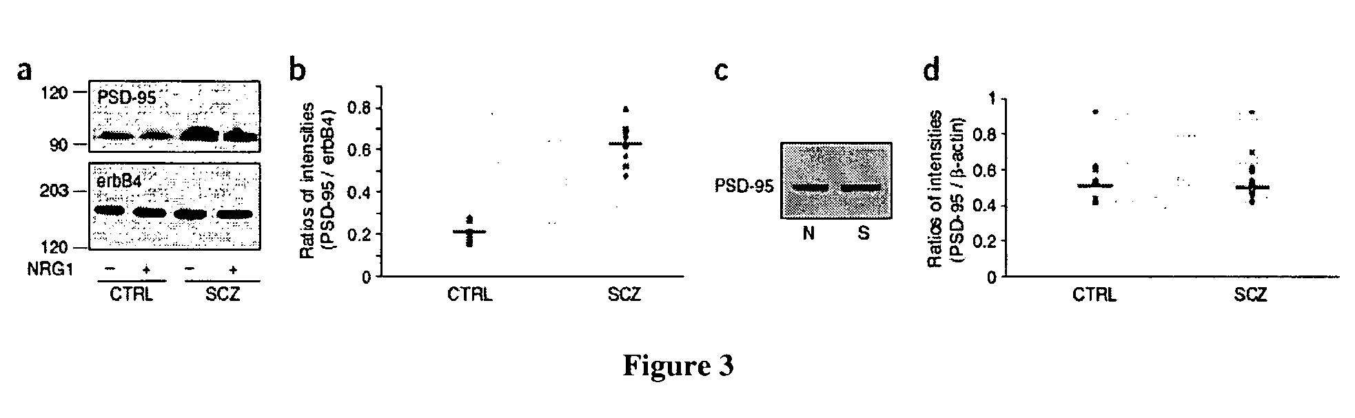 Neurgulin 1 (NRG1) - ErbB4 signaling as a target for the treatment of schizophrenia