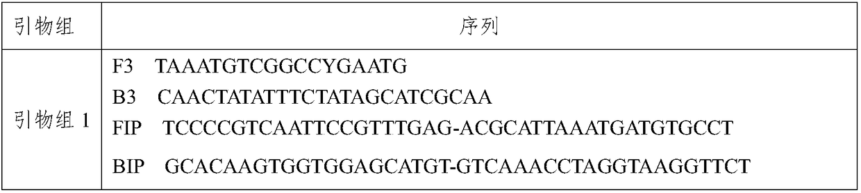 Primer set and kit for detecting Ureaplasma urealyticum through loop-mediated isothermal amplification method