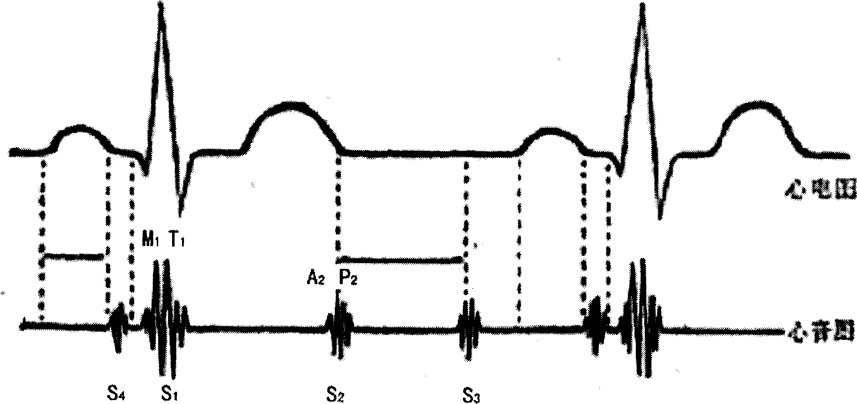 Method and apparatus for continuously measuring blood pressure