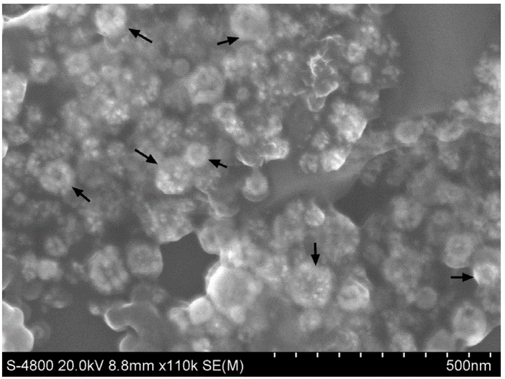 Single-wall carbon nanohorn-hollow gold nanocomposite and preparation method thereof