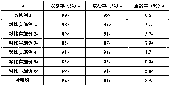 Planting method for improving survival rate of phoebe zhennan S. Lee