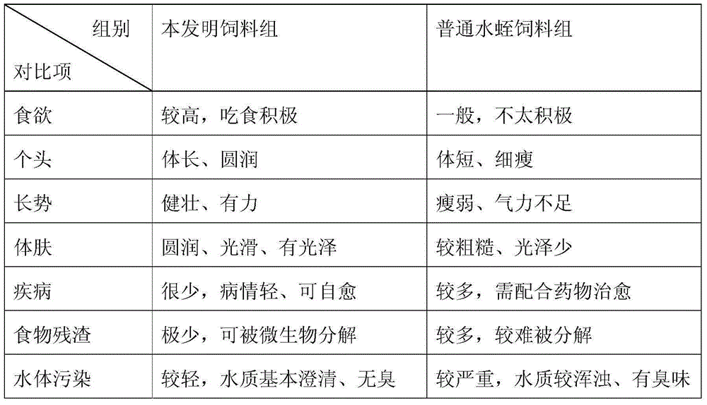 Chlorophytum comosum leaf and goat blood odourless fermentation leech culturing feed and preparation method thereof