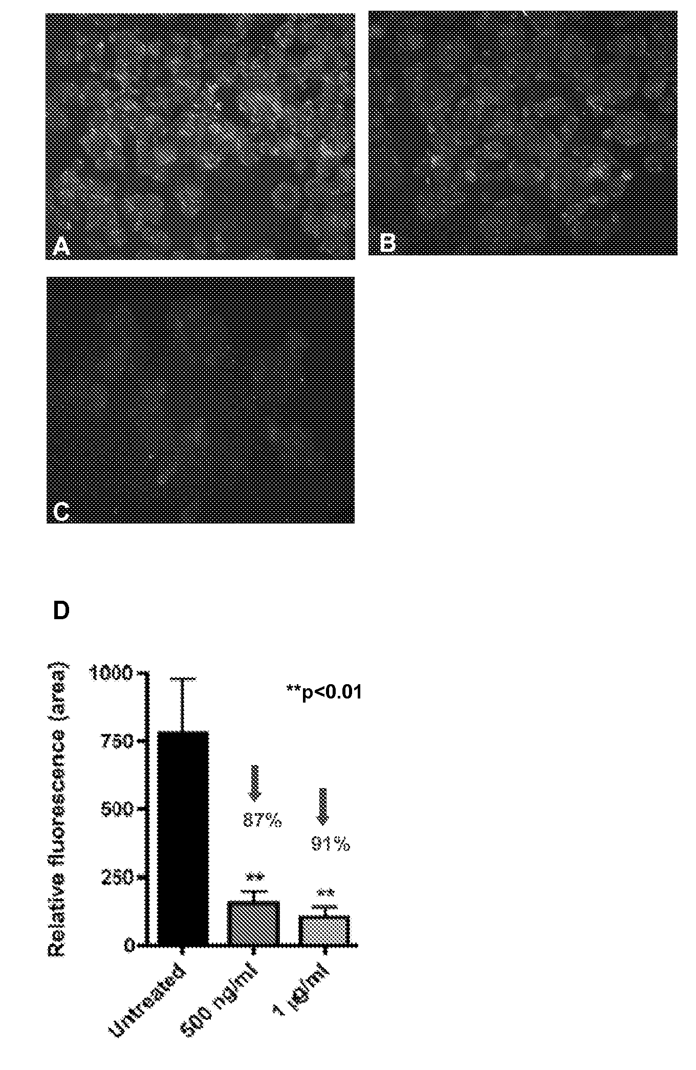 Compounds, Compositions and Methods for the Treatment of Beta-Amyloid Diseases and Synucleinopathies