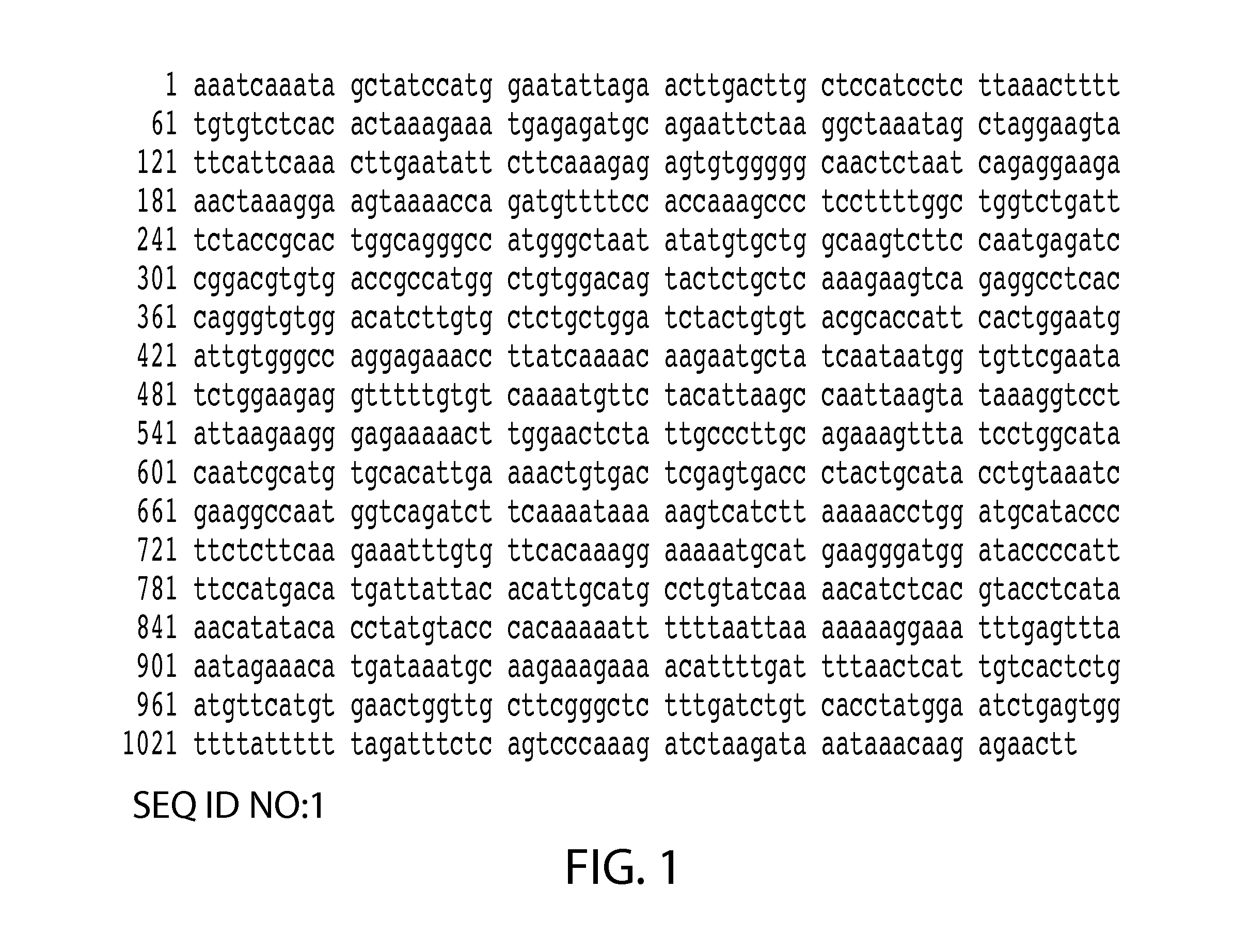 Compositions and methods for inhibiting expression of the lect2 gene