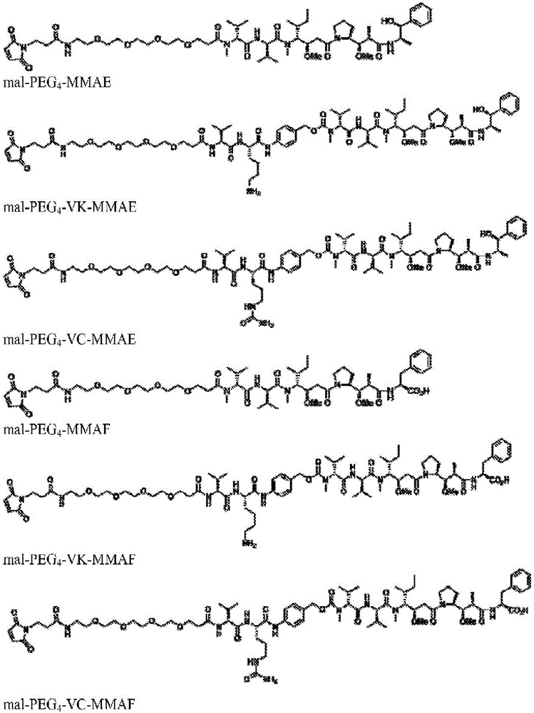Cysteine engineered fibronectin type III domain binding molecules