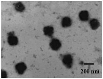 A kind of artemether liposome for injection and its preparation method and application
