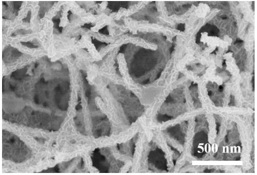 Rhenium sulfide/nitrogen-doped biomass-based carbon fiber composite material with double-defect structure and preparation method