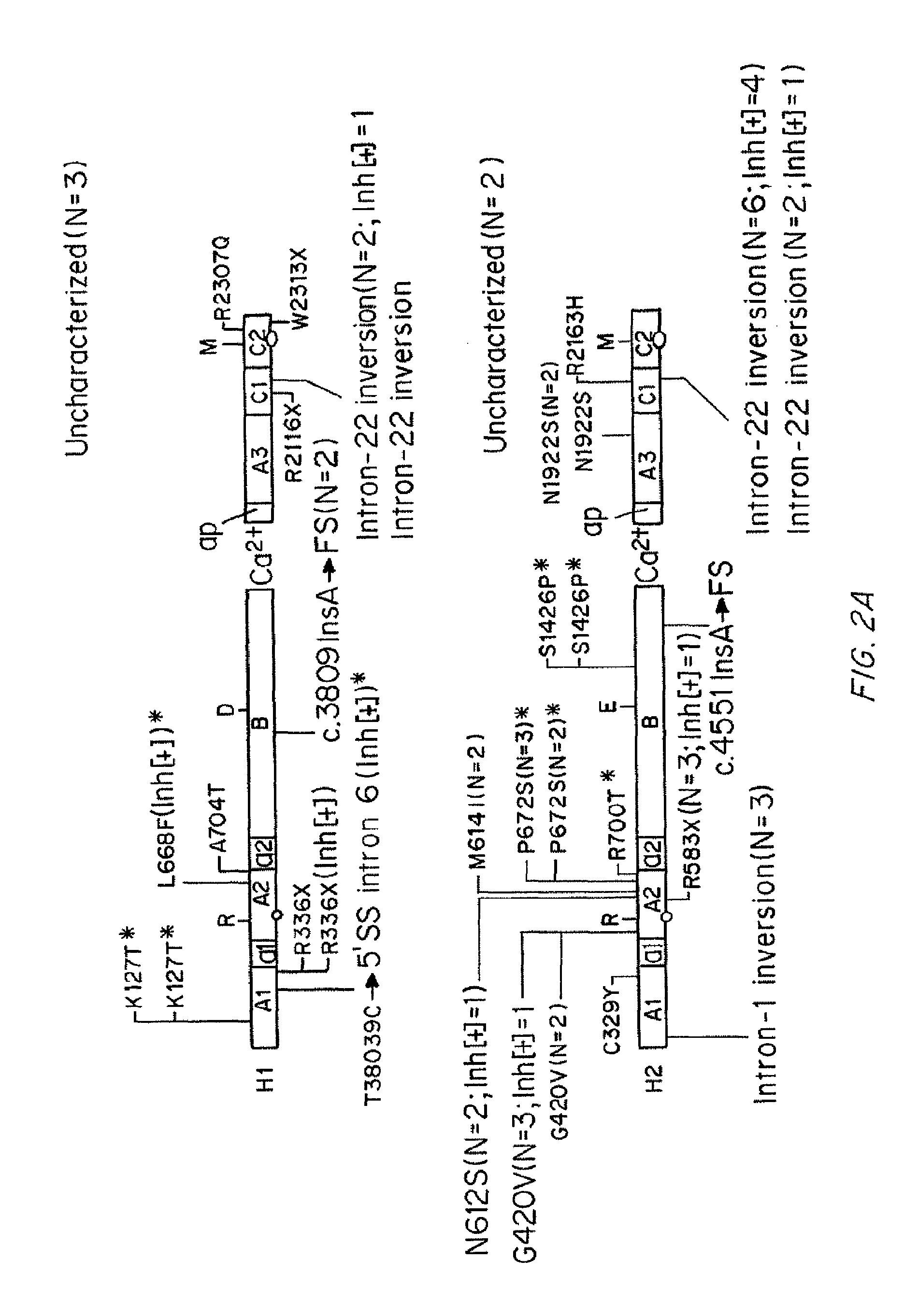 Compositions and Methods of Treatment of Black Hemophiliac Patients