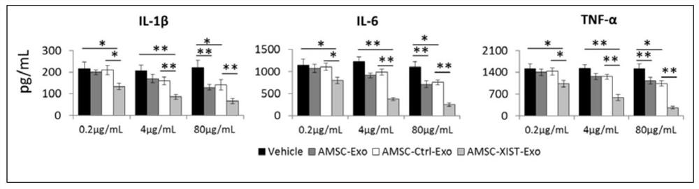 Preparation and application of xist-modified adipose-derived mesenchymal stem cell exosomes