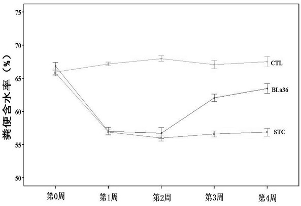 A kind of animal bifidobacterium milk subspecies bla36 for improving constipation and its culture method and application