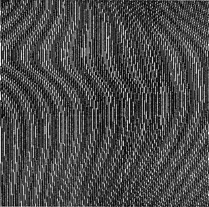 Hologram based on Moire fringe technology, and its plate making and identifying method