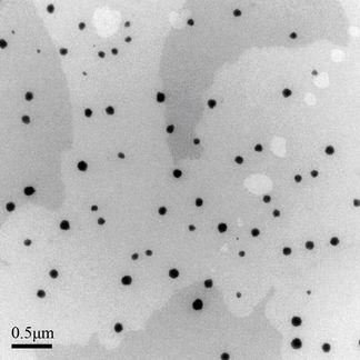 Thymol nano-medicament and preparation method thereof