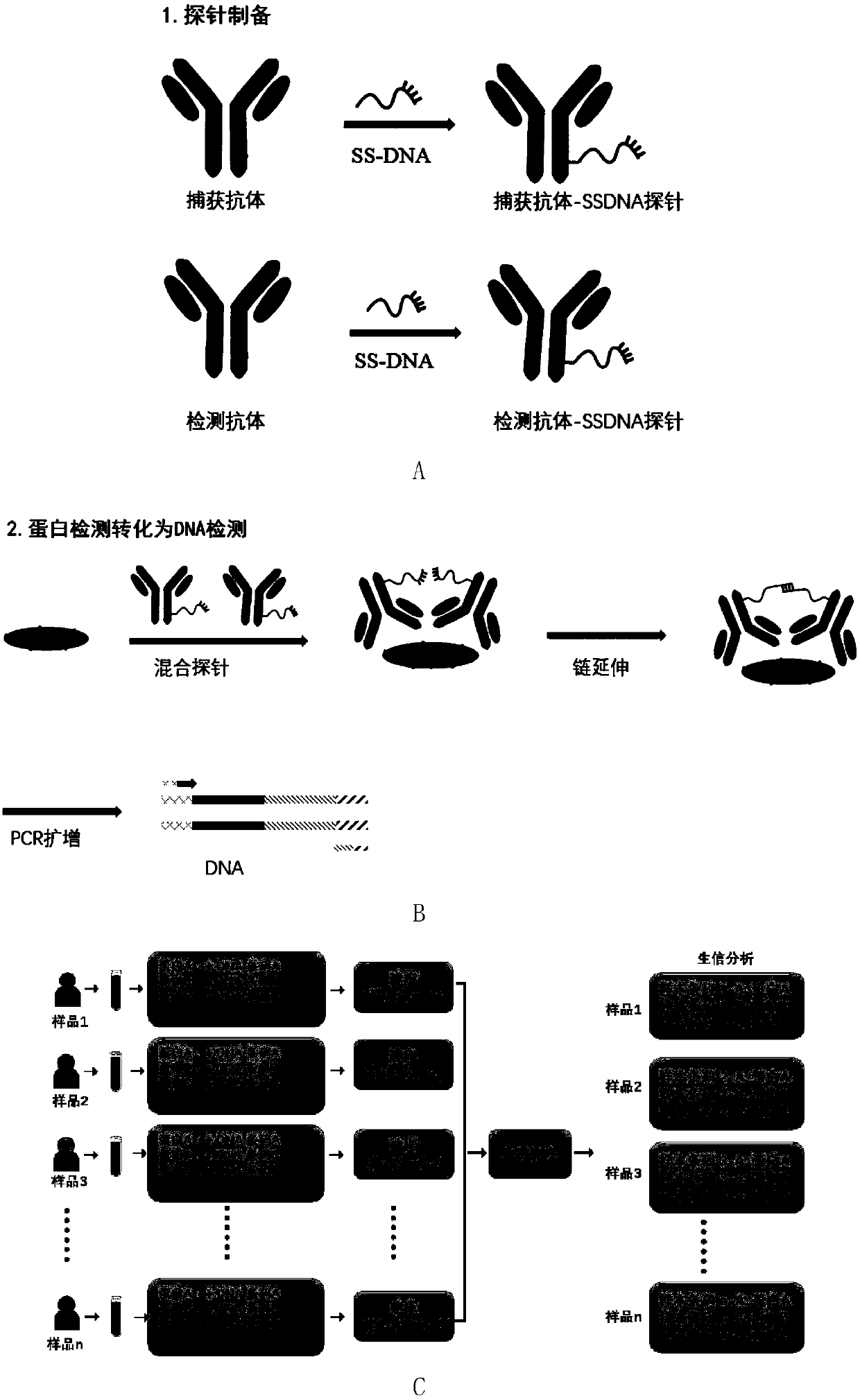 Method for high-throughput detection of different target protein contents in plurality of samples to be detected and special kit of method