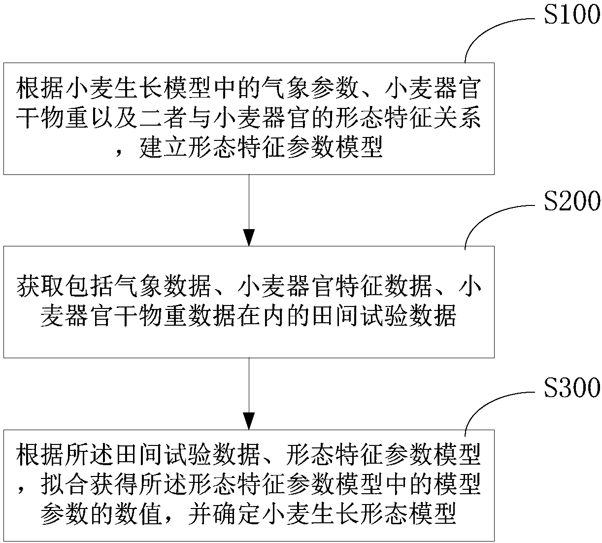 A wheat growth form model establishing method and device