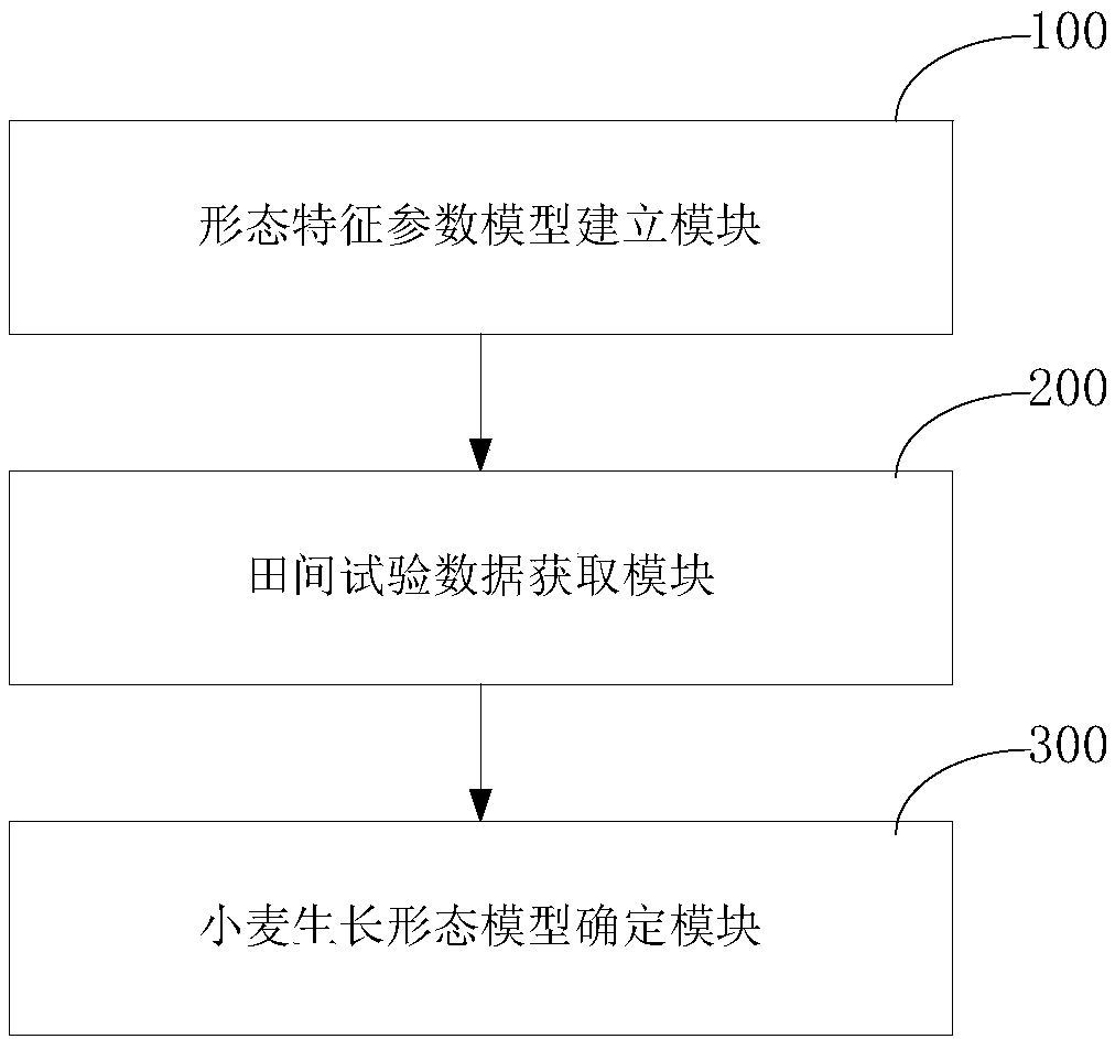 A wheat growth form model establishing method and device