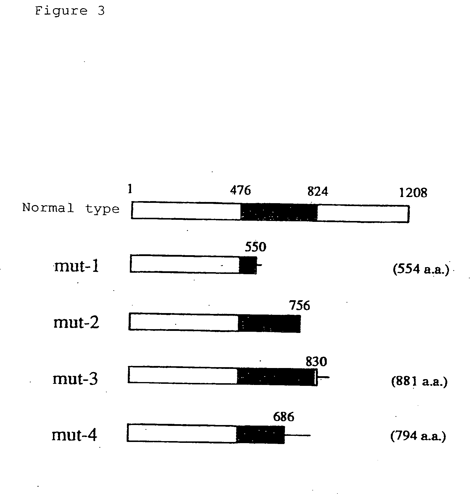 Gene causative of Rothmund-Thomson syndrome and gene product