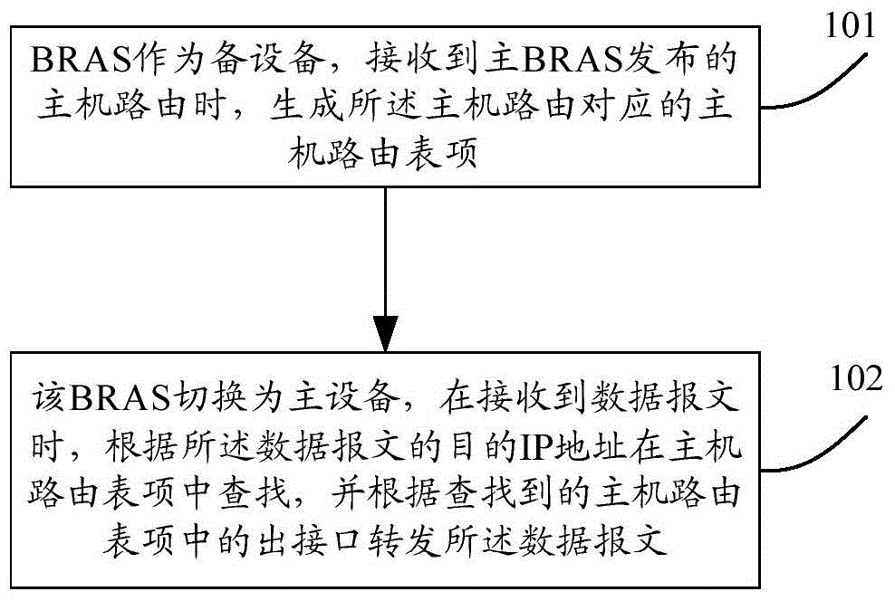 Data message forwarding method and apparatus
