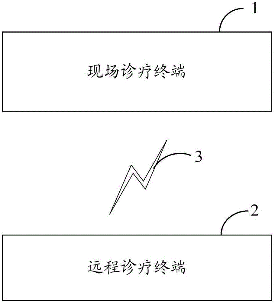 Spot diagnosis and treatment terminal for remote cure, remote diagnosis and treatment terminal for remote cure and cooperative diagnosis and treatment system