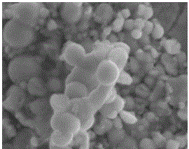 A kind of graphene nickel-phosphorus electroless plating solution and its preparation method and application