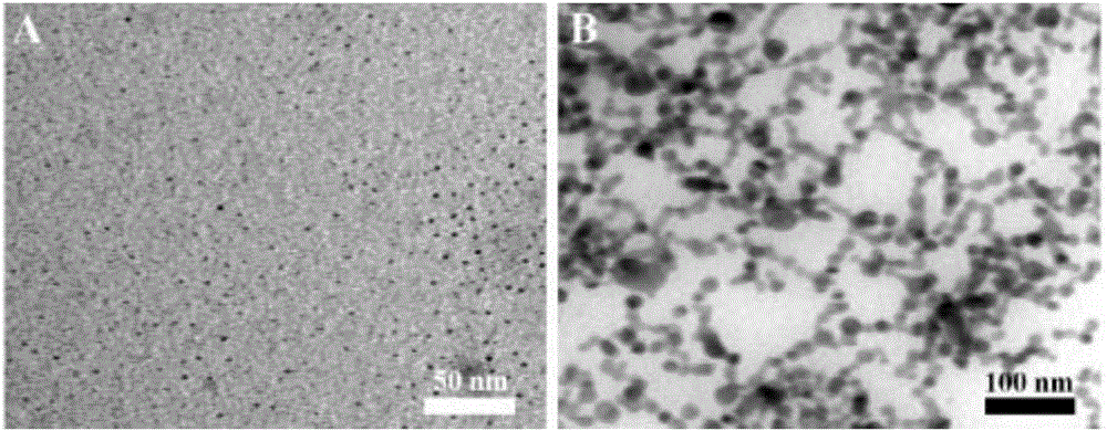 Fluorescent nanometer probe for detecting hydrogen sulfide and preparation method and application of fluorescent nanometer probe
