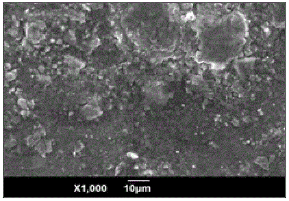 A kind of magnesium alloy corrosion-resistant coating and its application