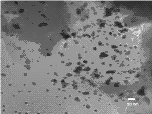 Method for preparing gelatin protein and gold nanoparticle composite thin film and application of gelatin protein and gold nanoparticle composite thin film