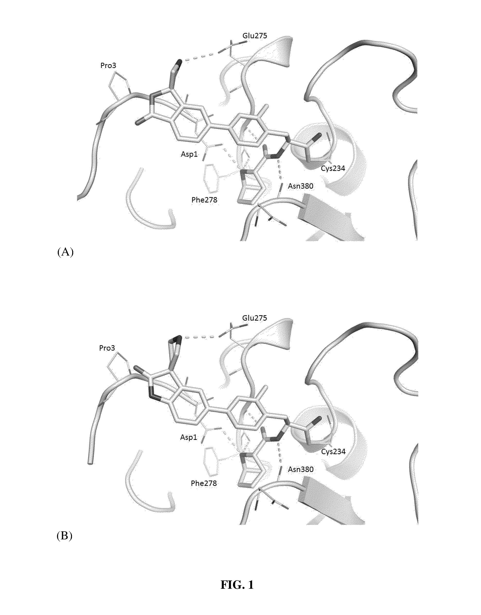 Novel substituted spirocycles