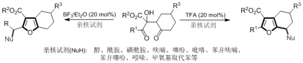 A new synthesis method of multi-substituted 4,5,6,7-tetrahydrobenzofuran