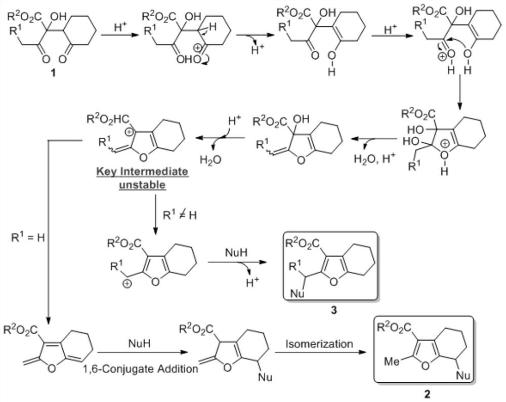 A new synthesis method of multi-substituted 4,5,6,7-tetrahydrobenzofuran