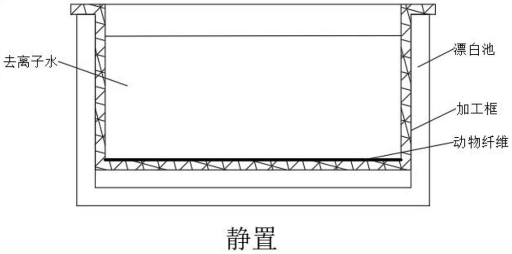 Bleaching process for animal fibers