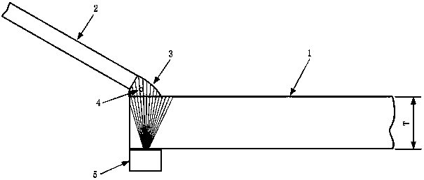 Phased array ultrasonic detection method for welding buoy bottom plate and sampan
