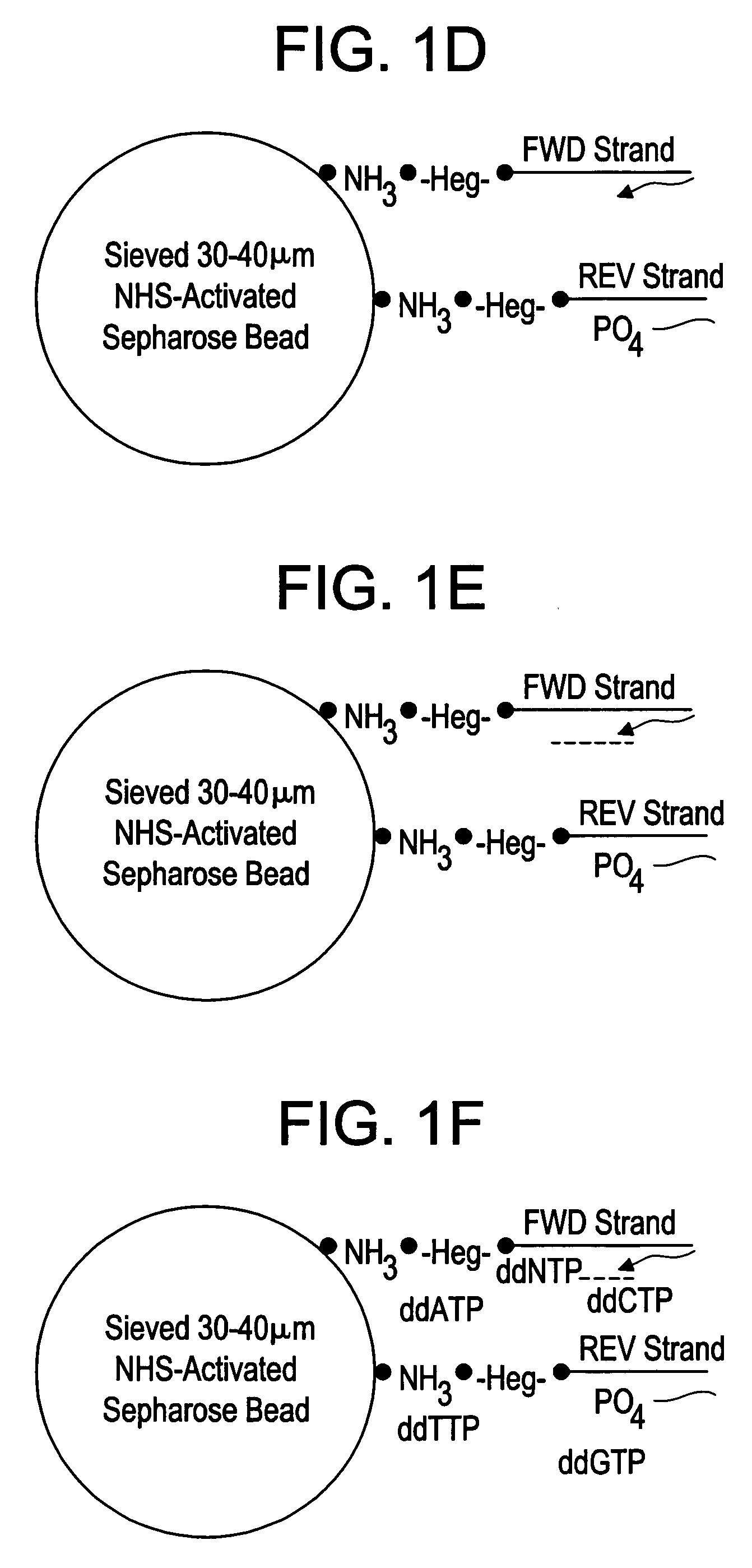 Double ended sequencing