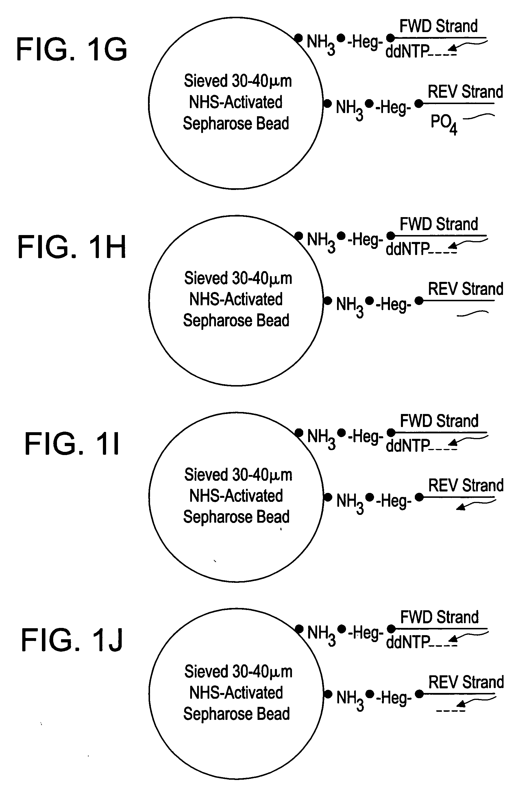 Double ended sequencing