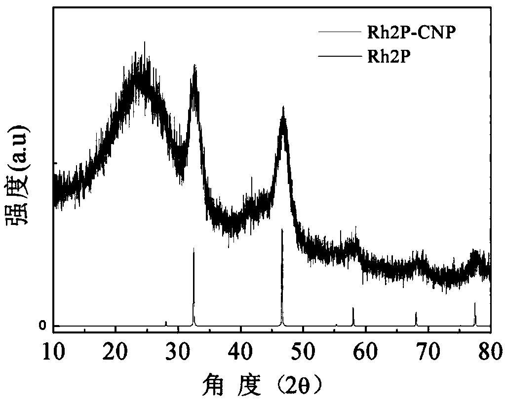 Nitrogen and phosphorus doped porous carbon-rhodium phosphide catalyst as well as preparation method and application thereof
