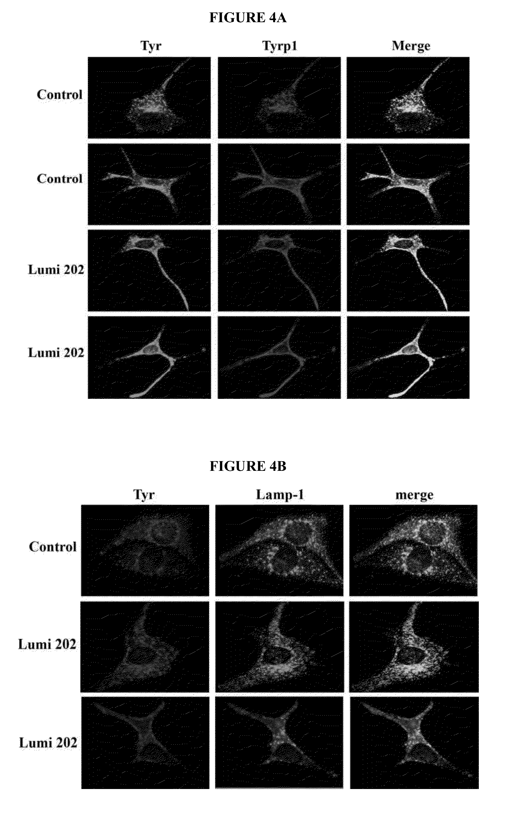 Indole alkaloid compounds as melanogenesis promoters and uses thereof