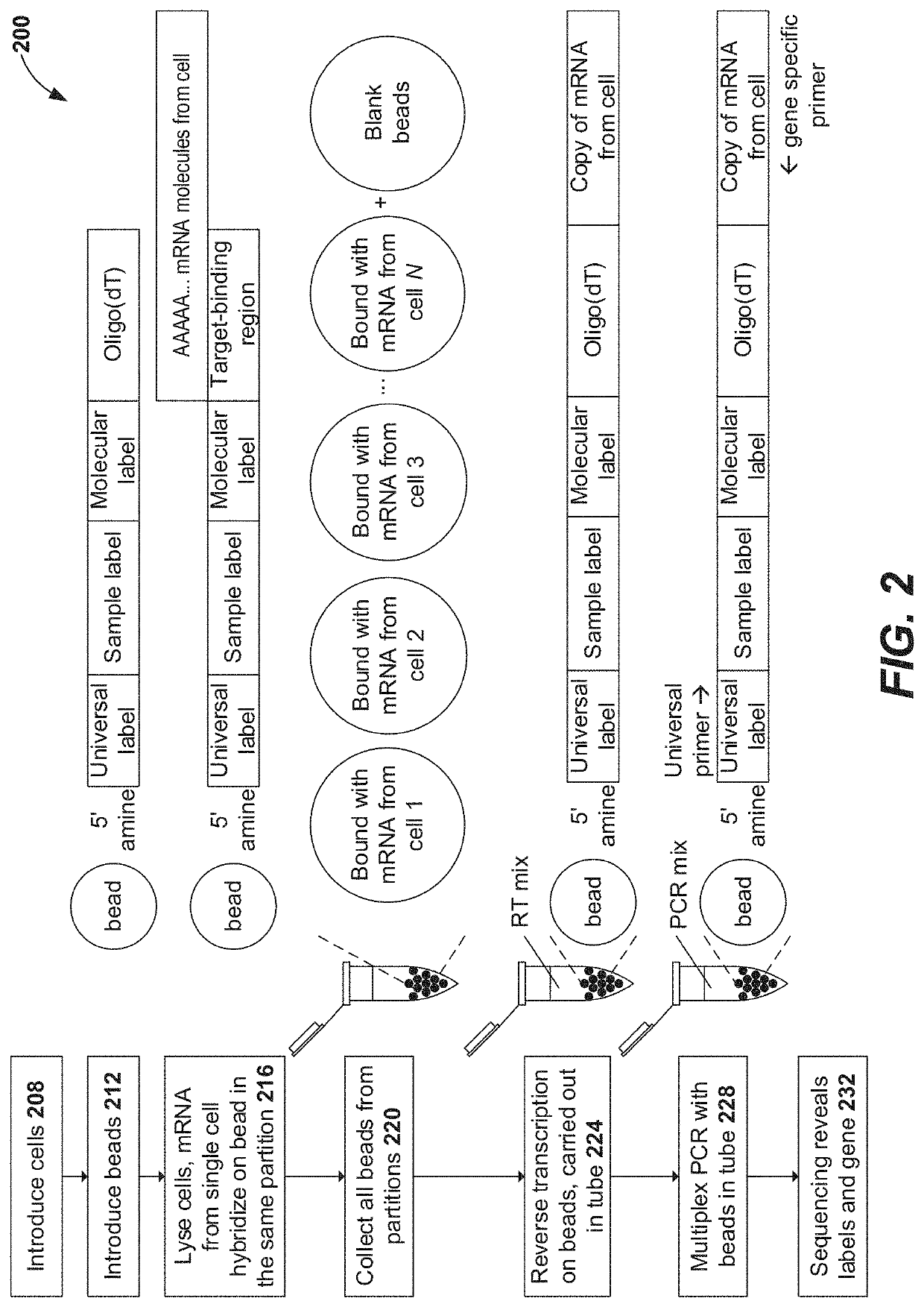 Selective extension in single cell whole transcriptome analysis