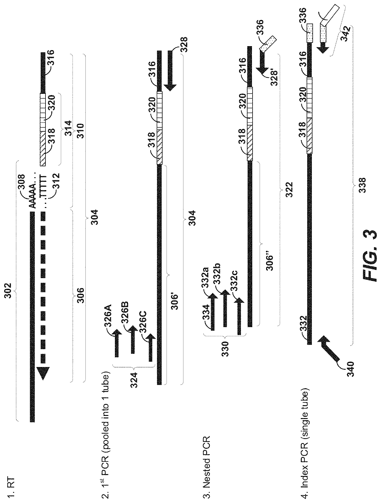 Selective extension in single cell whole transcriptome analysis