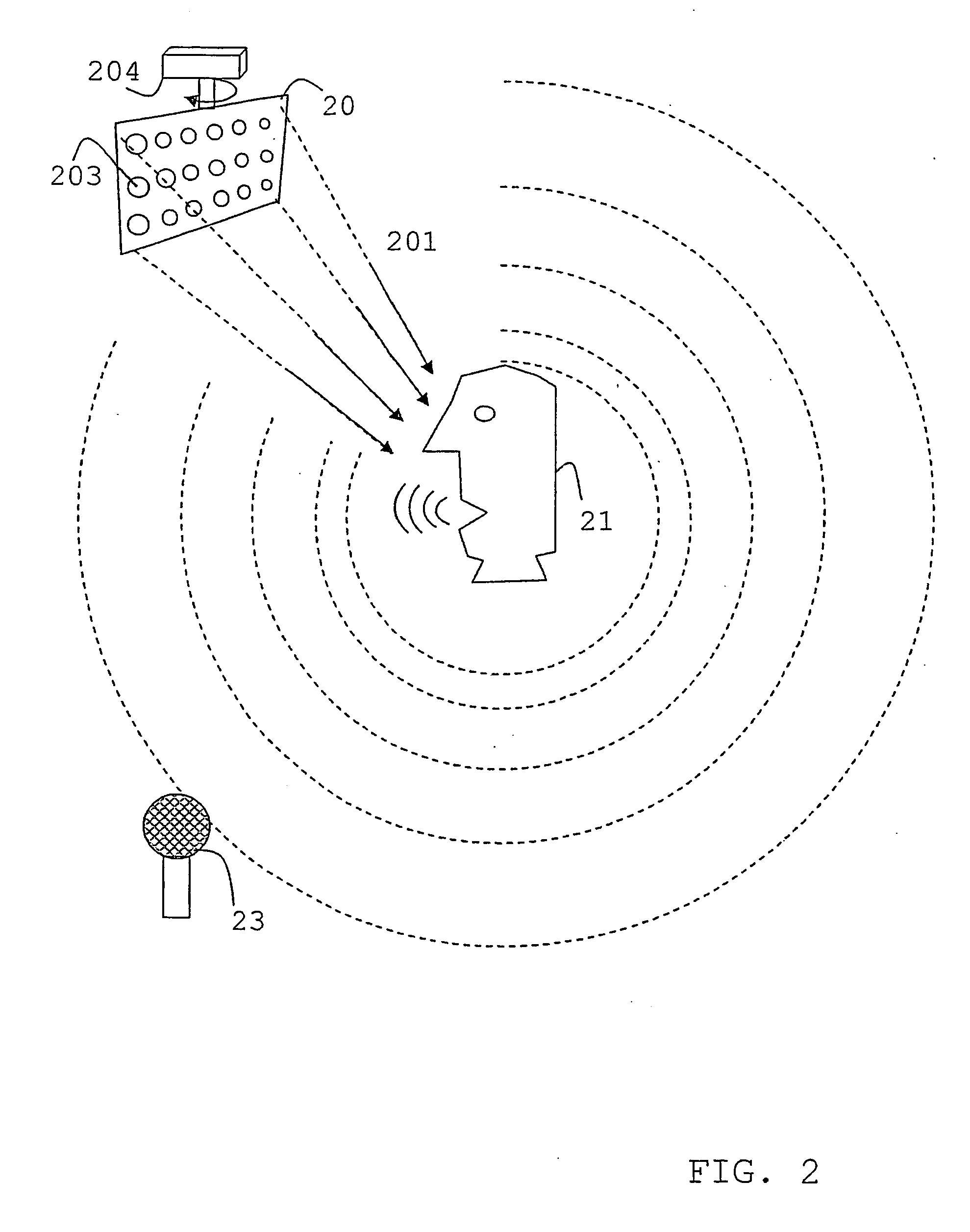Directional Microphone