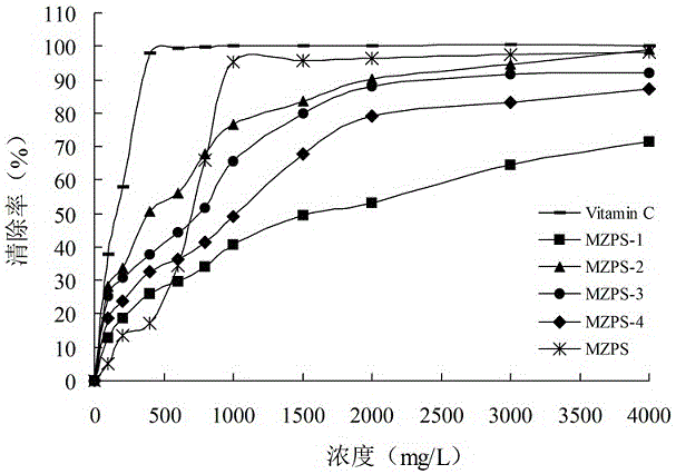 Thelephora ganbajun mycelium polysaccharide as well as preparation method and application of thelephora ganbajun mycelium polysaccharide