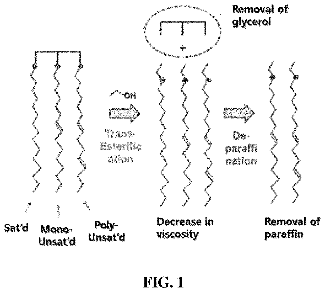 Vegetable oil-derived contrast agent with high stability and preparation method thereof