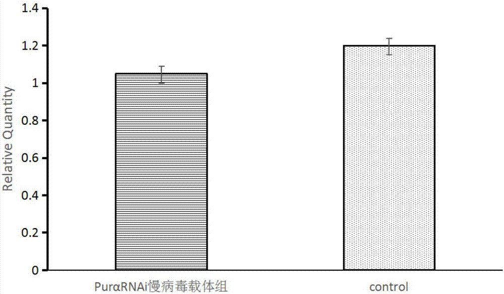 Lentiviral vector for silencing Puralpha gene