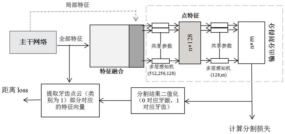 Tooth 3D point cloud-based identity recognition method and system