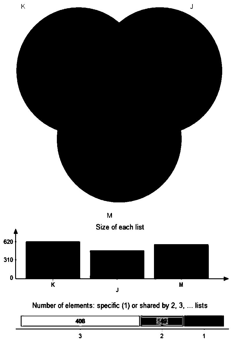 Application of yeast glucan composition in preventing constipation