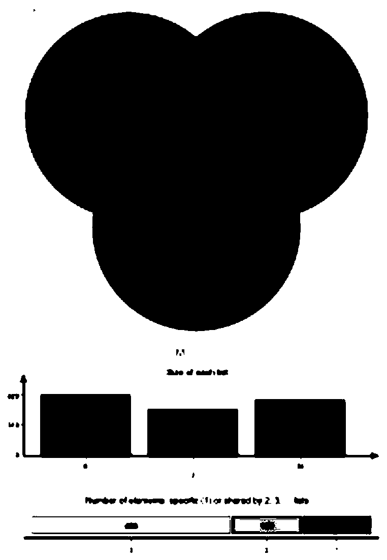 Application of yeast glucan composition in preventing constipation