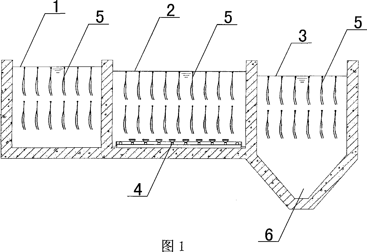 Method for purifying sewage by activated sludge biological film zone