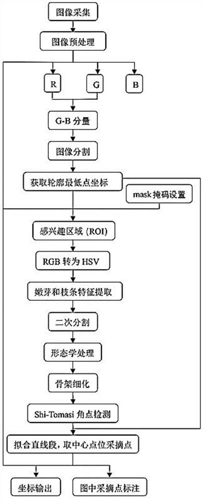 Machine vision-based famous high-quality tea picking point position information acquisition method