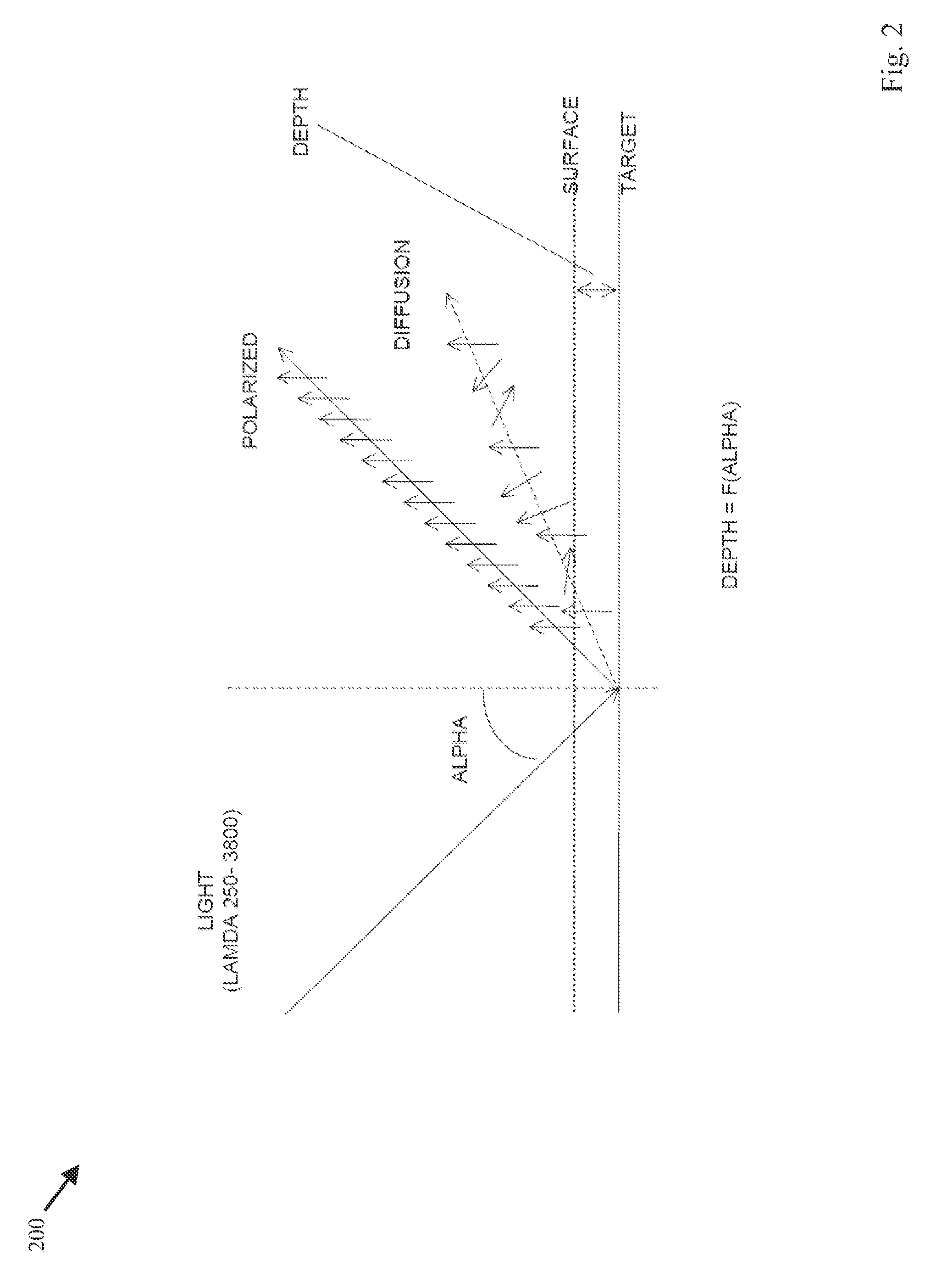 System and method for analysis of light-matter interaction based on spectral convolution