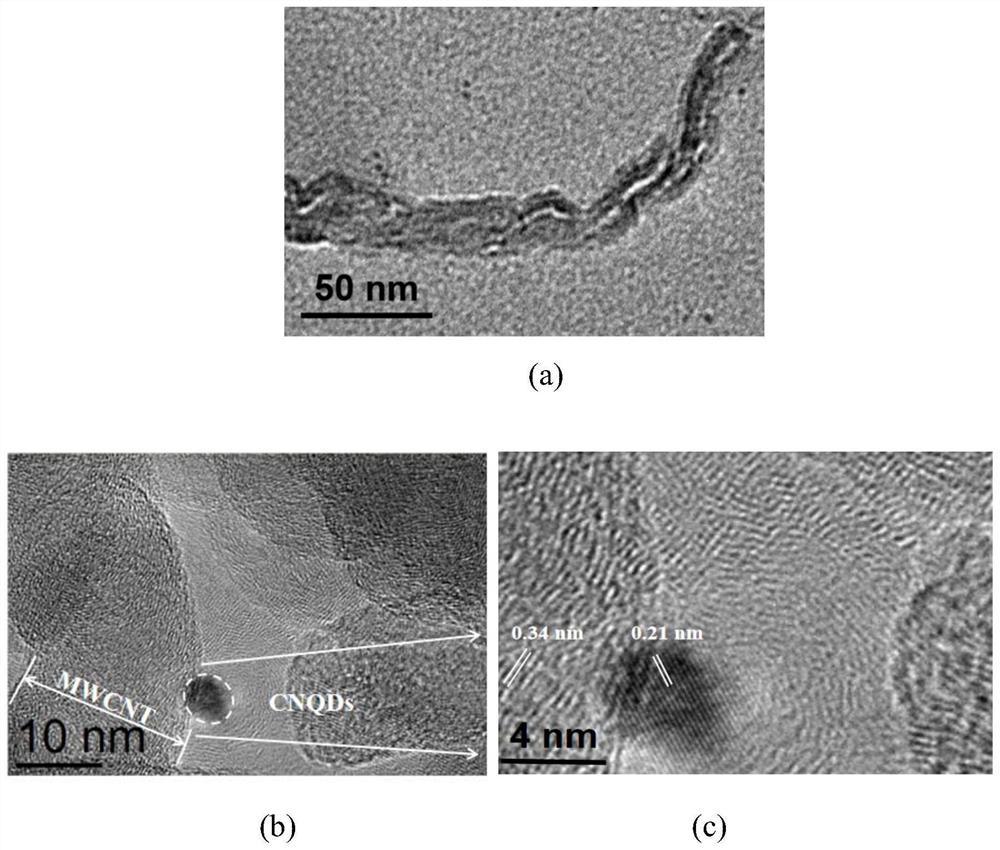 Method for constructing g-C3N4 quantum dot/carbon composite material based on non-covalent bond effect and application thereof